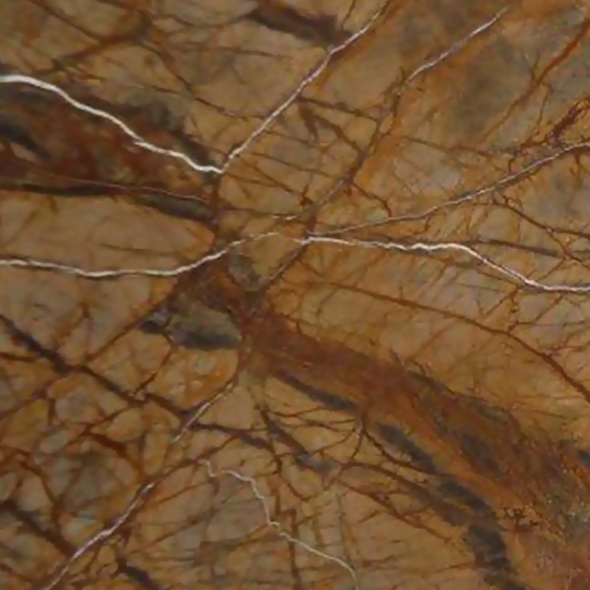 RAIN FOREST BROWN MARBLE 