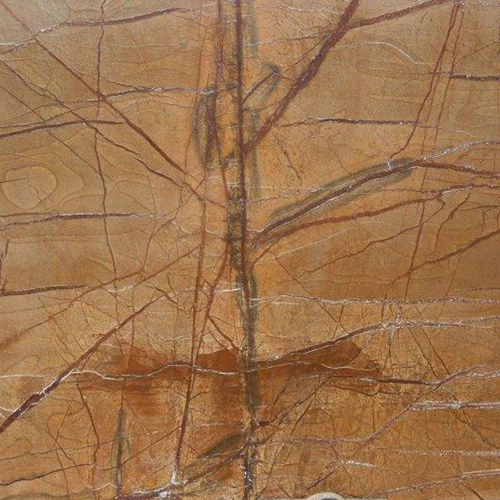 RAIN FOREST GOLDEN MARBLE 