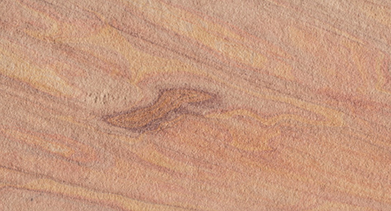 Sandstone Veneer 